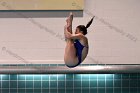 Women's Diving  Wheaton College Women’s Diving vs Mount Holyoke College. - Photo by Keith Nordstrom : Wheaton, Swimming & Diving